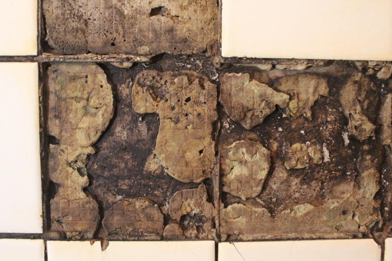 Free stock image of Grunge Tiled Wall created by Artem 