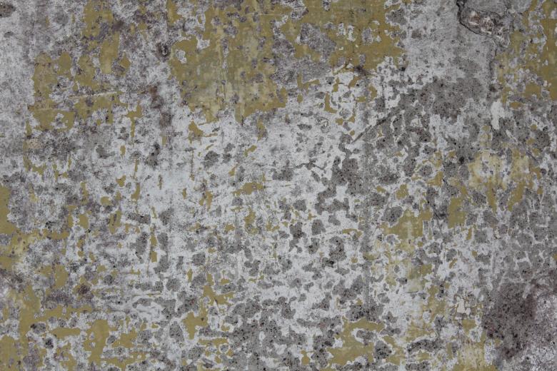 Free stock image of Green and Gray Old Concrete Texture created by Artem 