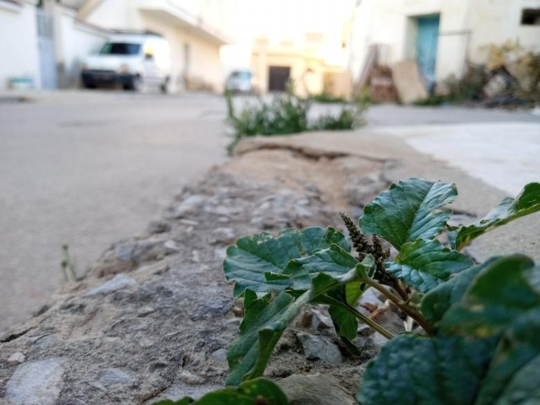 Free stock image of Ground View created by chokri attia