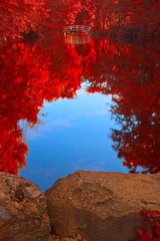 Free stock image of Jean-Drapeau Pond - Autumn Fantasy created by Nicolas Raymond