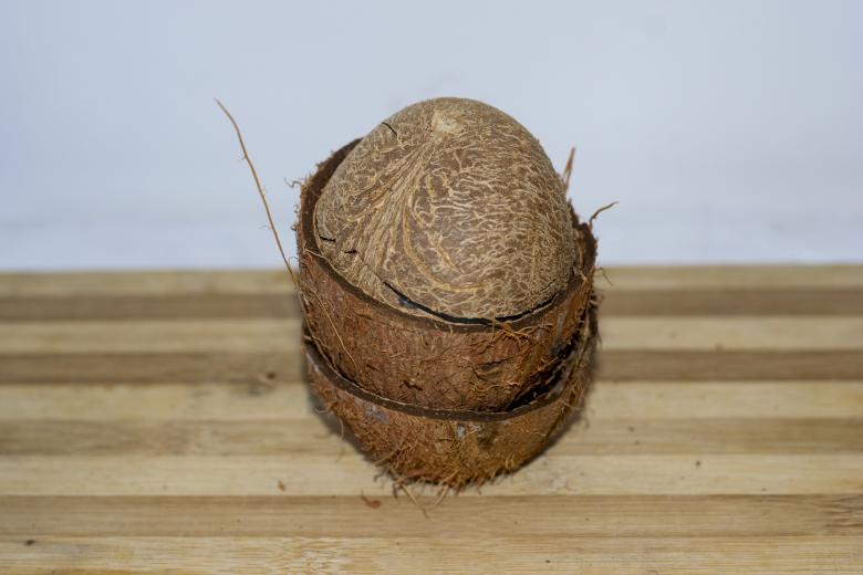 Free stock image of Dried Coconut created by Amar Roy