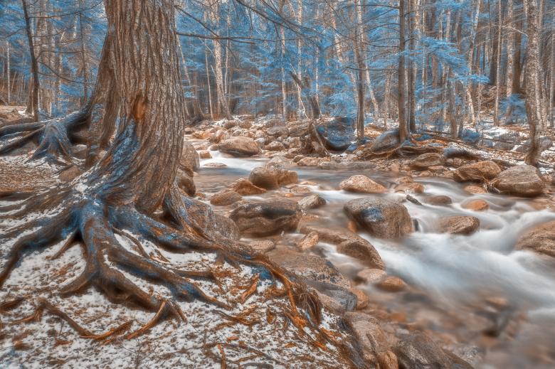 Free stock image of Sabbaday Soft Winter Brook created by Nicolas Raymond