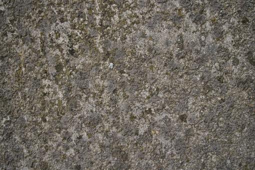 Concrete wall with organic material - Free Stock Photo