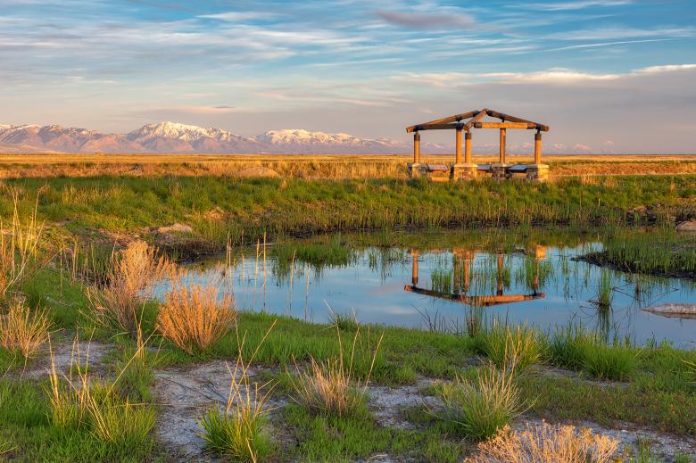 Free stock image of Golden Hour Nature Refuge created by Nicolas Raymond