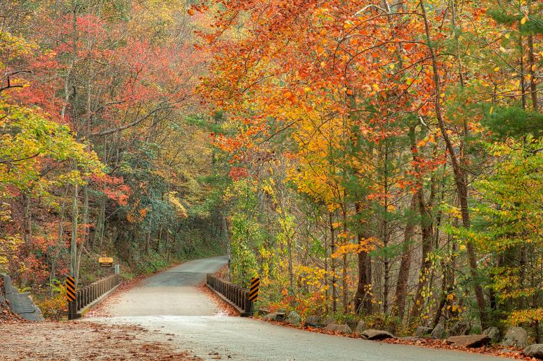 Free stock image of Autumn River Road created by Nicolas Raymond