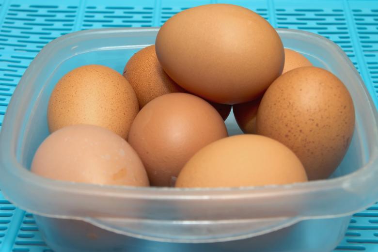 Free stock image of Eggs In a Bowl created by sapiduduk