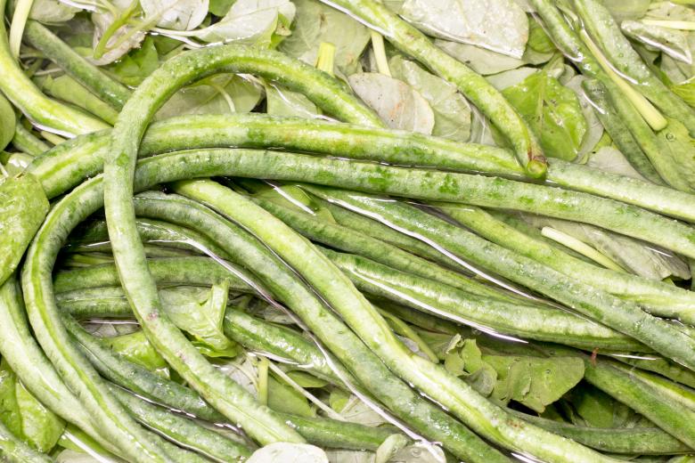 Free stock image of Green Beans Soaking in Water created by sapiduduk