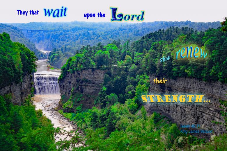 Free stock image of The Lord Renews Strength created by DFNatureAwed