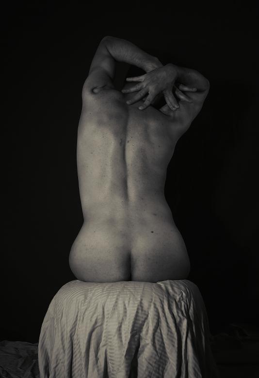 Free stock image of Human Back - Monochrome created by Altan Med