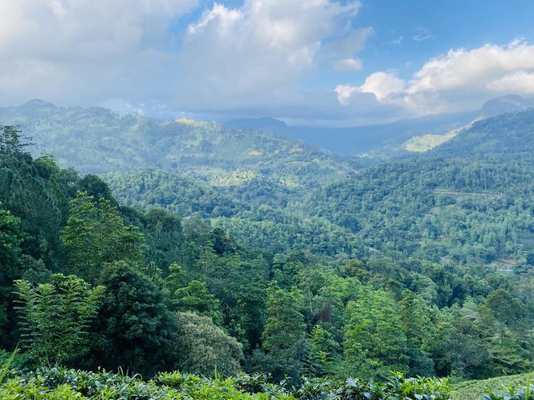 Free stock image of Green Mountain Landscape created by SK