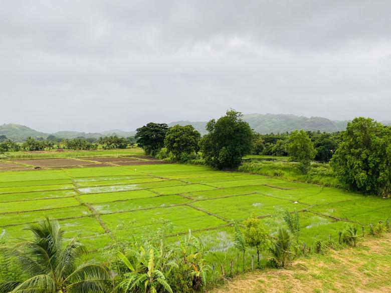 Free stock image of Raining in the Field created by SK