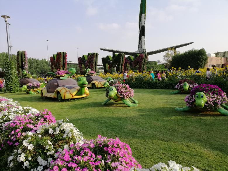 Free stock image of Miracle Garden in Dubai created by Alaa Hikmat 