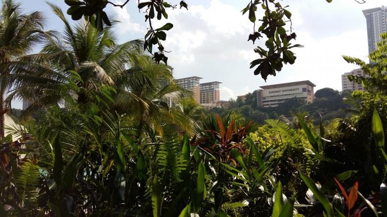 Free stock image of Sunway Lagoon Hotel created by Alaa Hikmat 