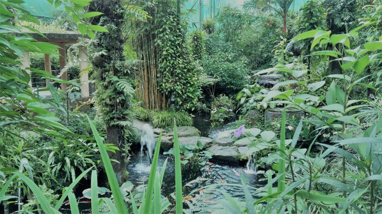 Free stock image of Kuala Lumpur Bird Park created by Alaa Hikmat 