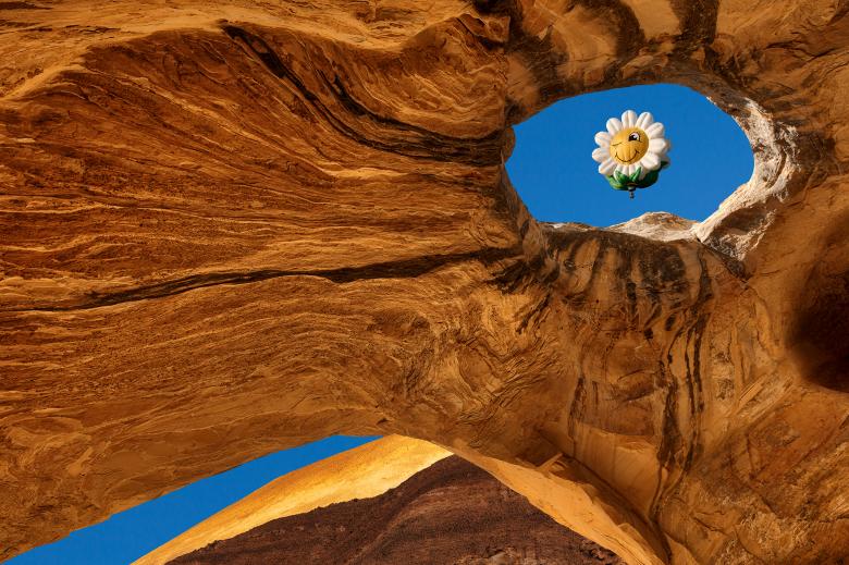 Free stock image of Smiling Daisy Window created by Nicolas Raymond