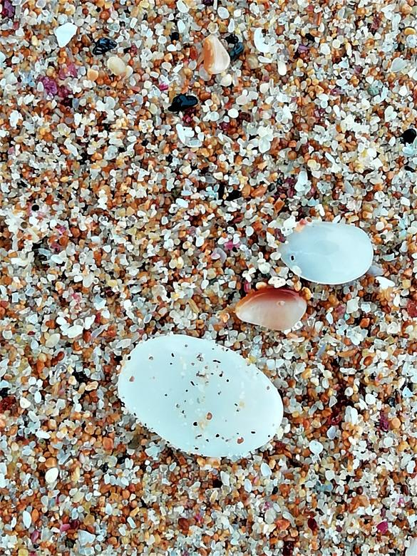 Free stock image of Shell Beach created by Infinity Focus