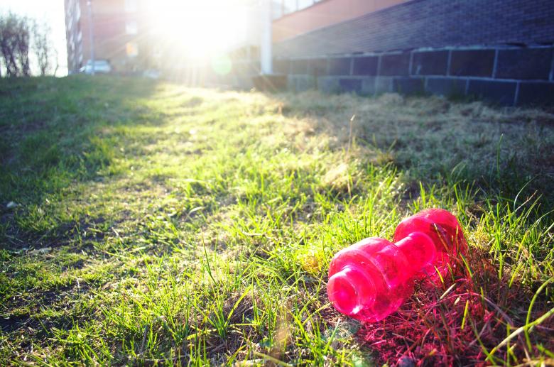 Free stock image of Pink dumbbell on green grass created by Vladimir Chebotarevskiy