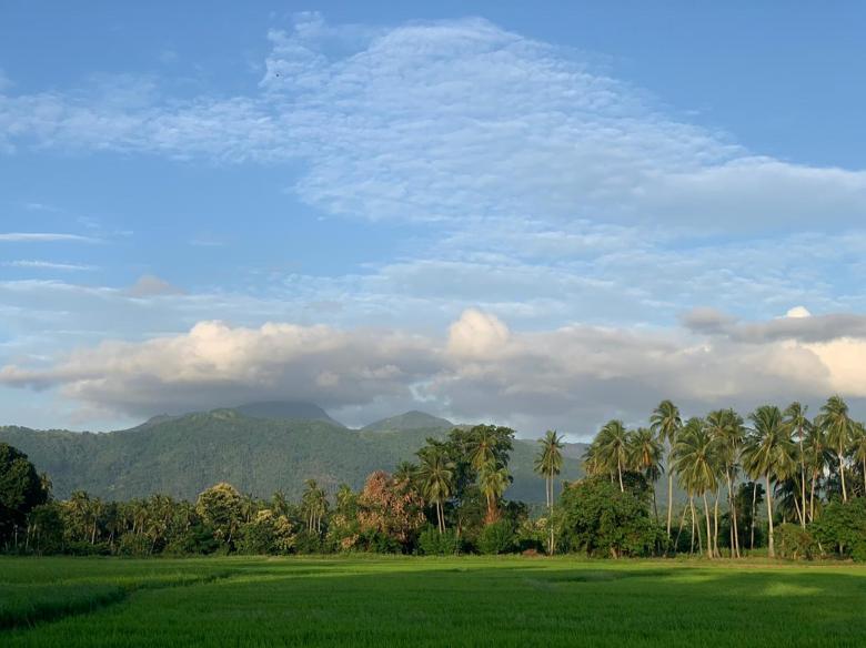 Free stock image of Blue sky and the Mountain through the paddy field created by SK