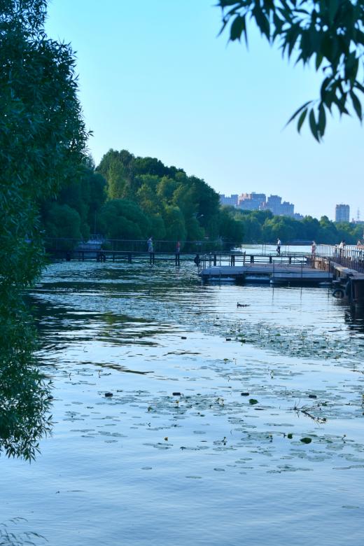 Free stock image of Walking near the embankment created by NomeVizualizzato