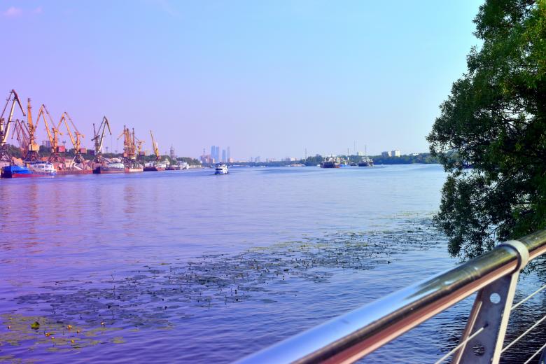 Free stock image of Amazing Harbor View created by NomeVizualizzato