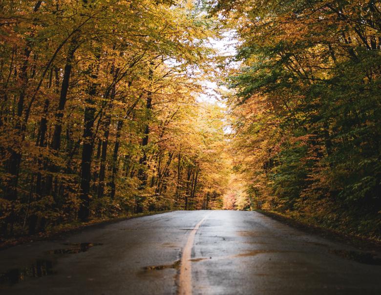 Free stock image of Autumn Road created by Quentin Lagadic