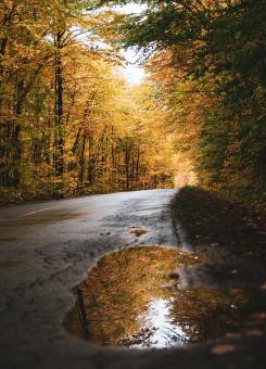 Autumn Road with Water - Free Stock Photo