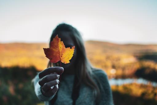 Girl Holding Autumn Leaf - Free Stock Photo