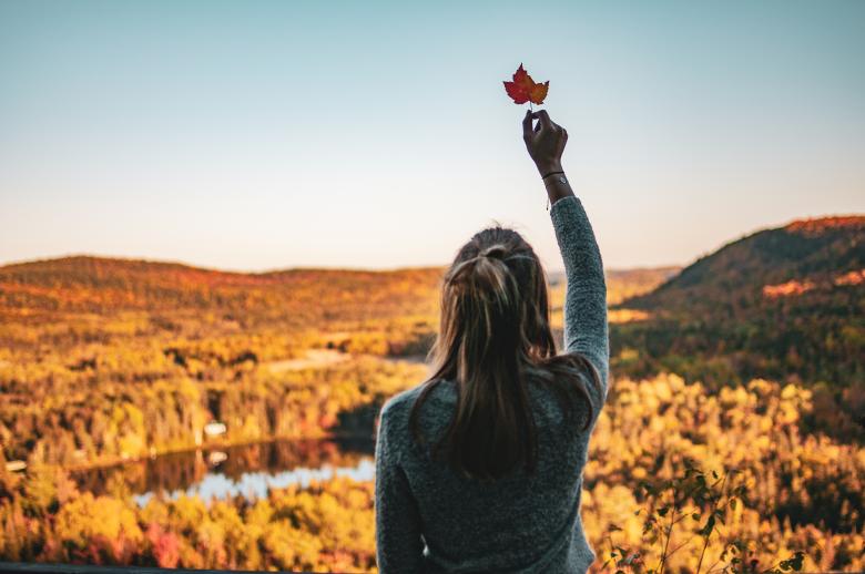 Free stock image of Girl Holding a Leaf - Back View - Autumn created by Quentin Lagadic