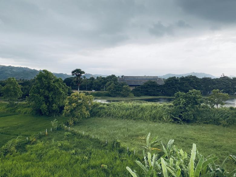 Free stock image of Black Sky vs Green Trees created by SK
