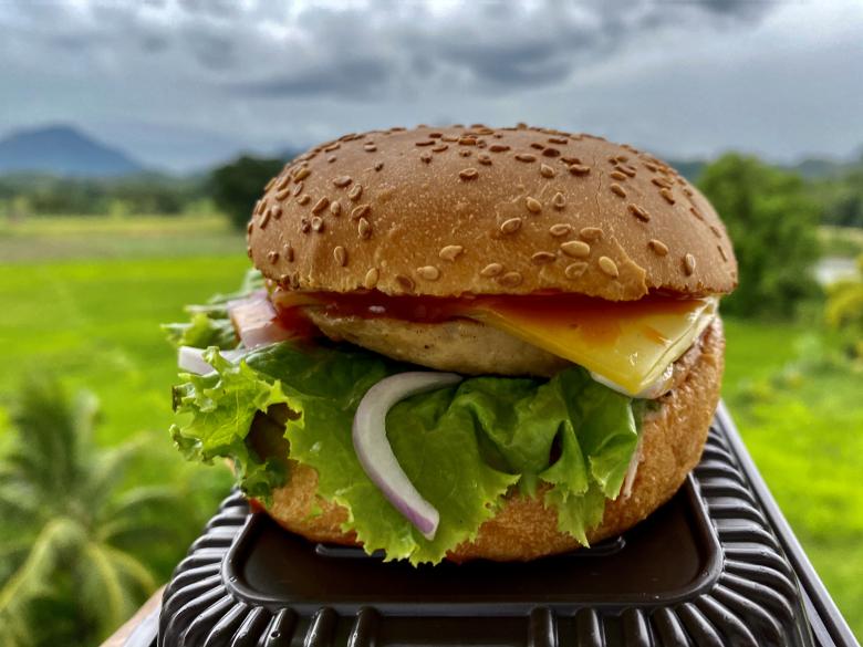 Free stock image of Sri Lankan Cheeseburger in a Natural Setting created by SK