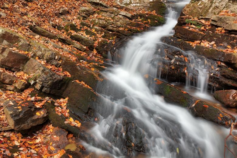 Free stock image of Gee Creek Arm Falls created by Nicolas Raymond