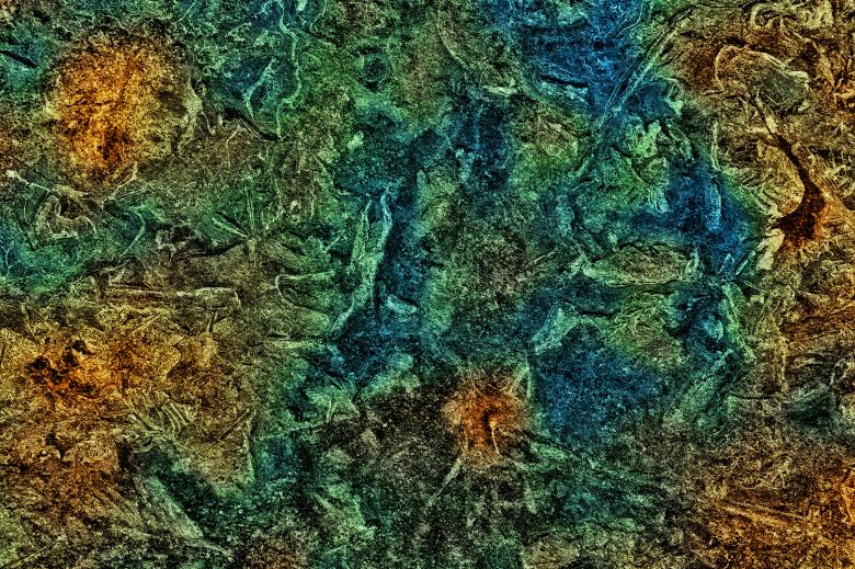 Free stock image of Abstract Marsh Grunge created by Nicolas Raymond