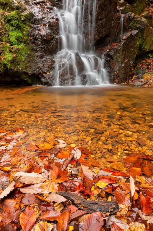 Free stock image of Autumn Cascade Falls created by Nicolas Raymond