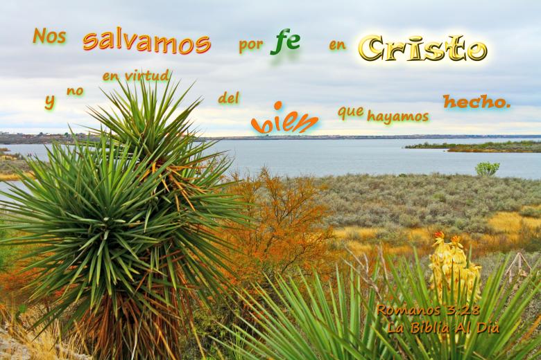 Free stock image of Nos Salvamos Por Fe created by DFNatureAwed