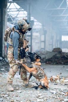 An Army Soldier and a Dog - Free Stock Photo