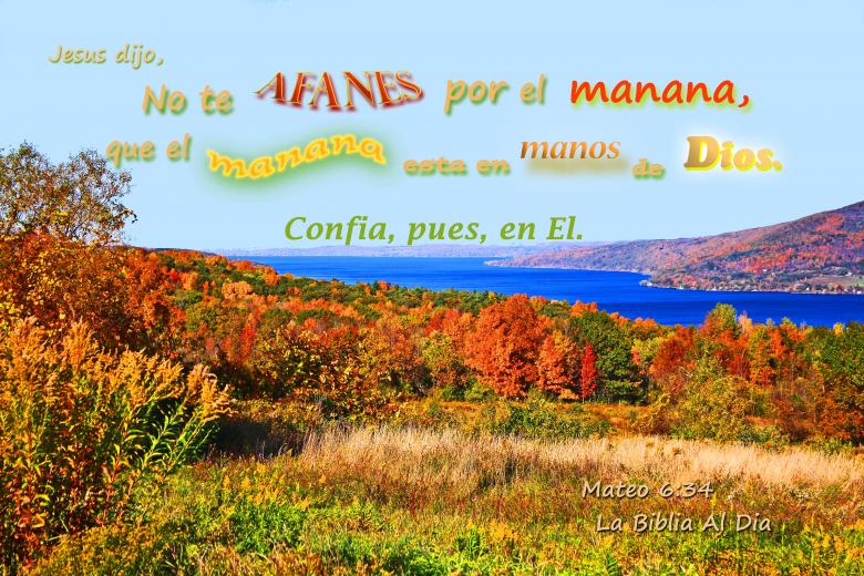 Free stock image of Afanes por el Manana created by DFNatureAwed