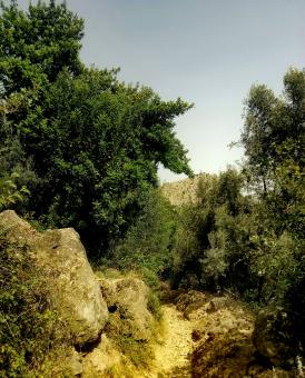 The beauty of the Morocco nature - Free Stock Photo