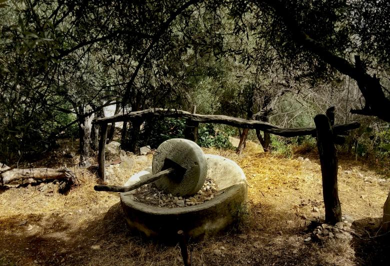 Free stock image of Ancient mill for extracting traditional olive oil created by lazrak