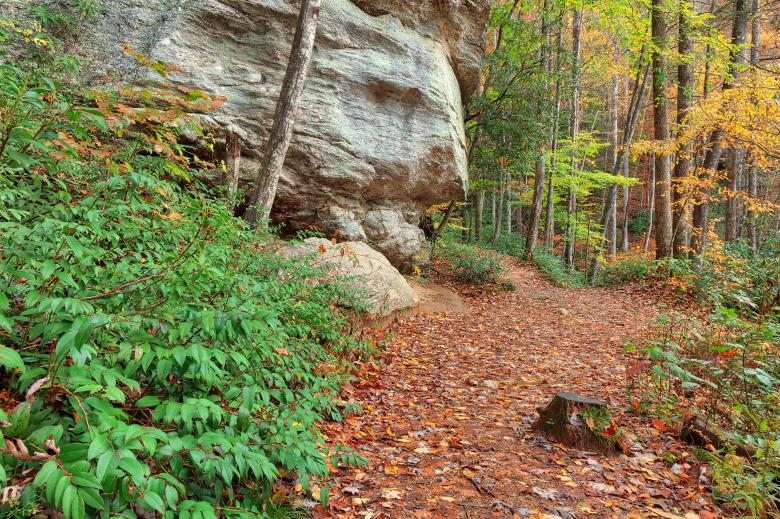 Free stock image of Moore Cove Guardian Trail created by Nicolas Raymond