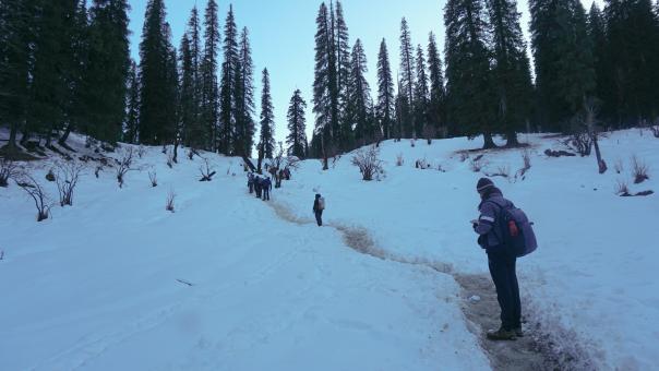 Hikers in the Winter