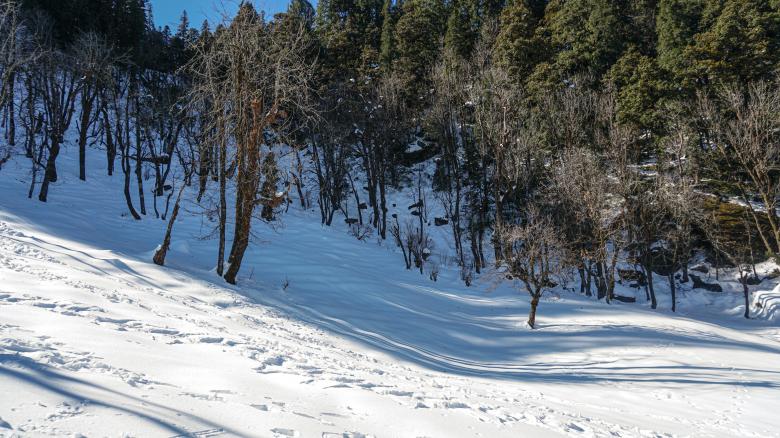 Free stock image of Snowy Wooden Hills created by Atul Saini