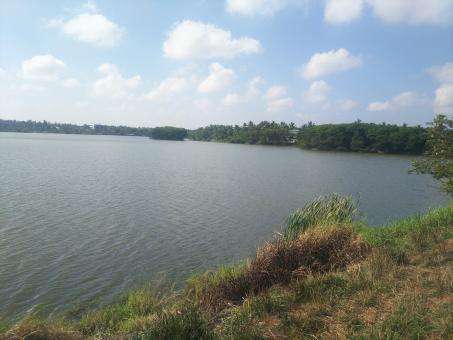 Free Stock Photo of Wonderful Lake View