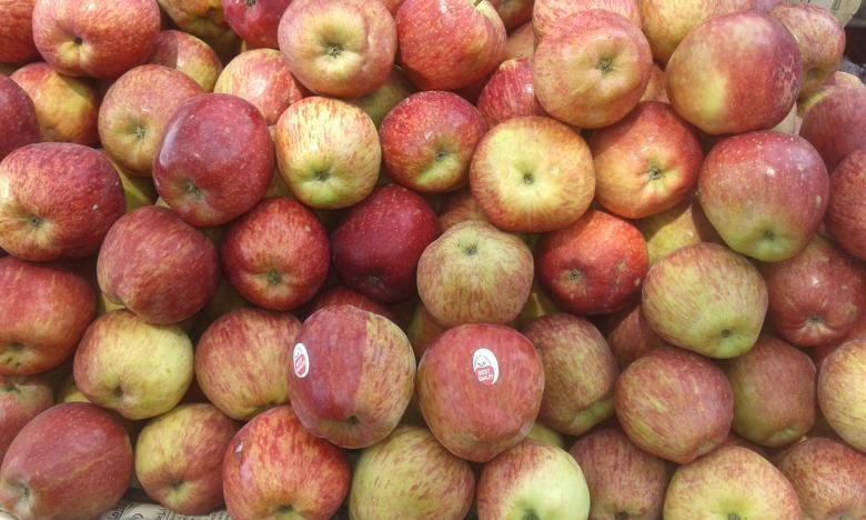 Free stock image of Red Apple Background created by Moon  Bhuyan