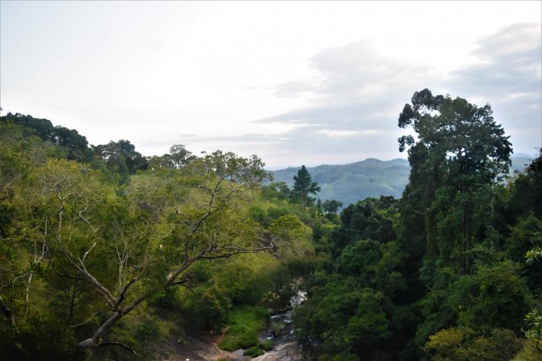 Free stock image of Beautiful landscape with mountains, forest and pines created by mohamed aslam