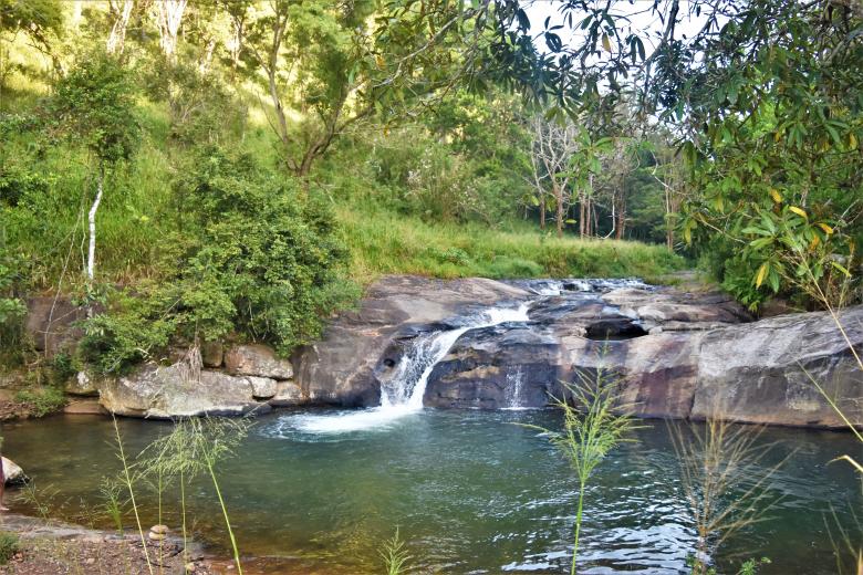 Free stock image of Forest river and falls created by mohamed aslam