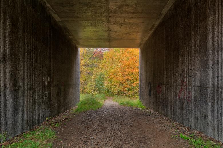 Free stock image of Autumn Georgiana Tunnel created by Nicolas Raymond