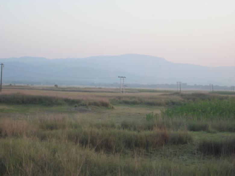 Free stock image of Fields and Powerlines created by Moon  Bhuyan