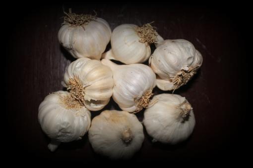 Garlic Close-up