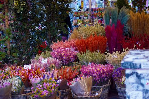 Flower Market - Amsterdam - Free Stock Photo