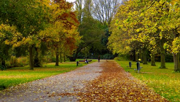 Free Stock Photo of Autumn in Amsterdam